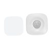 [Smart Life app] PIR Motion Sensor