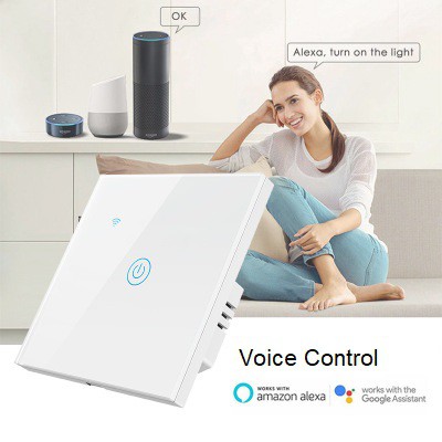[Smart Life app] Wifi Smart Touch 2 in 1 Wall Switch