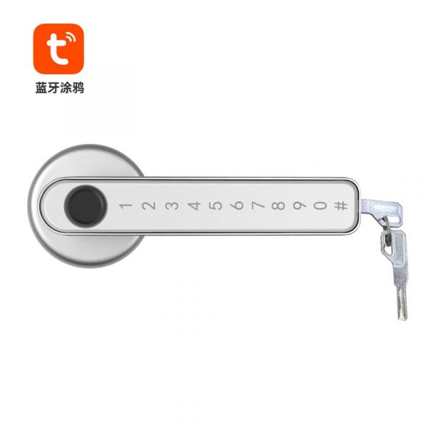 [Smart Life App] Tuya Bluetooth Fingerprint & Password Door Lock