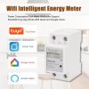 [Smart Life App] Power Monitoring Electric Meter 60A Breaker