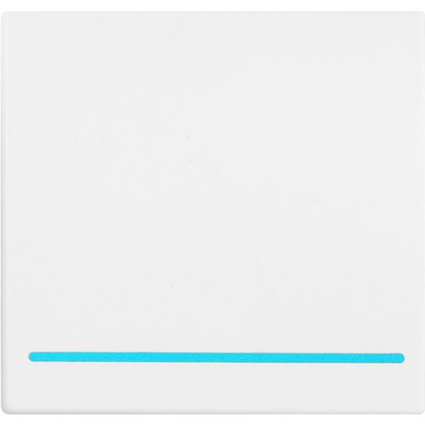 Ewelink Wifi+BLE Relay Switch and 1, 2, 3 Gang 2.4ghz Remote