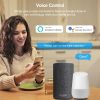 eWelink App Wifi Smart Socket with Power Monitoring 16A
