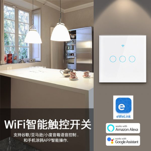 eWeLink 2 in 1 WiFi Controlled Smart Touch Wall Panel Switch