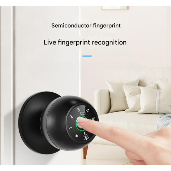 Smart Life App Spherical Fingerprint Lock