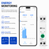 eWelink WiFi Smart Electric Meter with Protection 1P+N Breaker